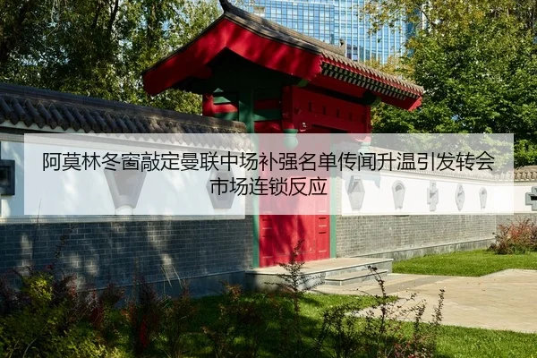 阿莫林冬窗敲定曼联中场补强名单传闻升温引发转会市场连锁反应